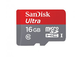 16GB Class 10 SanDisk microSDHC